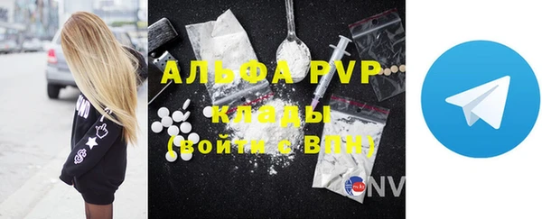 ПСИЛОЦИБИНОВЫЕ ГРИБЫ Абаза