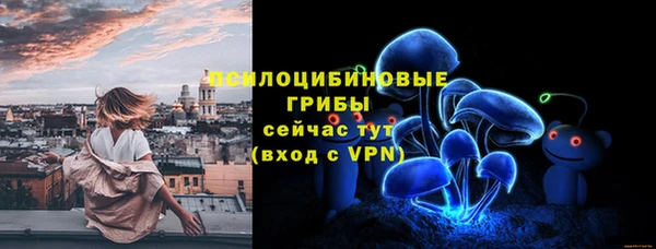 дмт Алексин