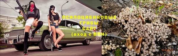 дмт Алексин